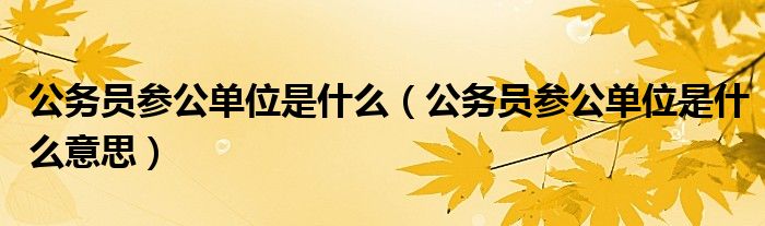 公务员参公单位是什么（公务员参公单位是什么意思）