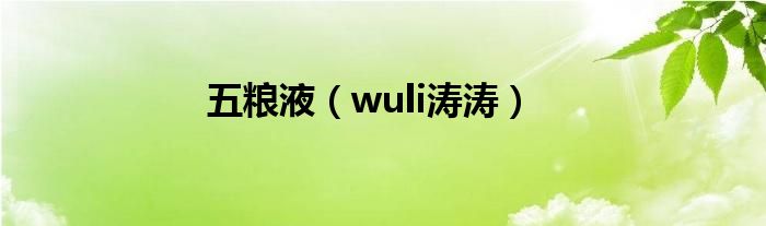 五粮液（wuli涛涛）