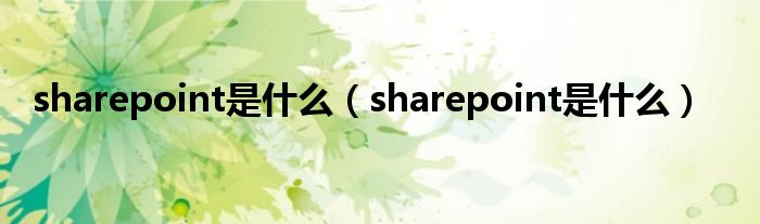 sharepoint是什么（sharepoint是什么）