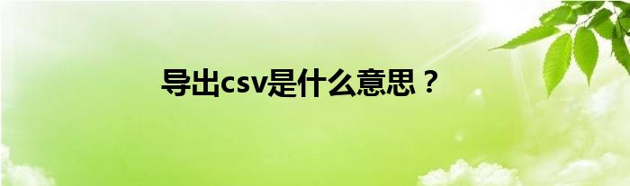 导出csv是什么意思？