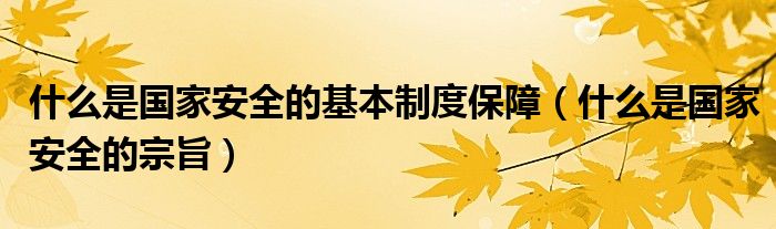 什么是国家安全的基本制度保障（什么是国家安全的宗旨）