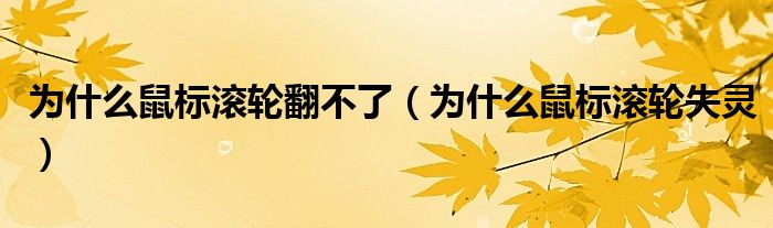 为什么鼠标滚轮翻不了（为什么鼠标滚轮失灵）