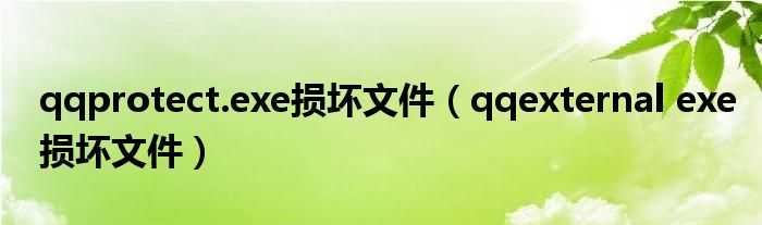 qqprotect.exe损坏文件（qqexternal exe损坏文件）