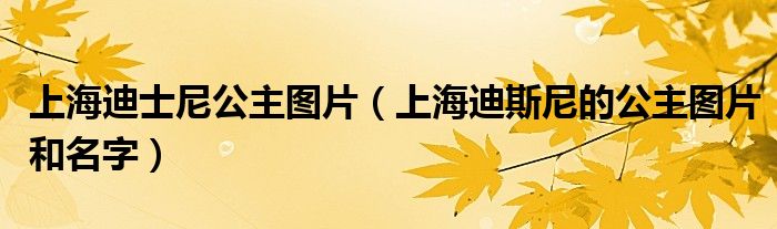 上海迪士尼公主图片（上海迪斯尼的公主图片和名字）