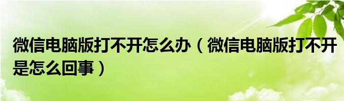 微信电脑版打不开怎么办（微信电脑版打不开是怎么回事）