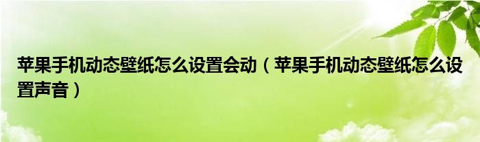 苹果手机动态壁纸怎么设置会动（苹果手机动态壁纸怎么设置声音）