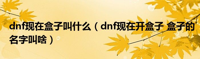 dnf现在盒子叫什么（dnf现在开盒子 盒子的名字叫啥）