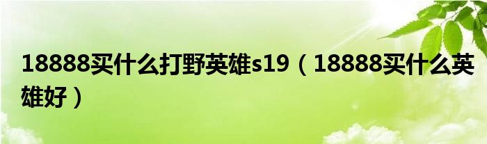 18888买什么打野英雄s19（18888买什么英雄好）