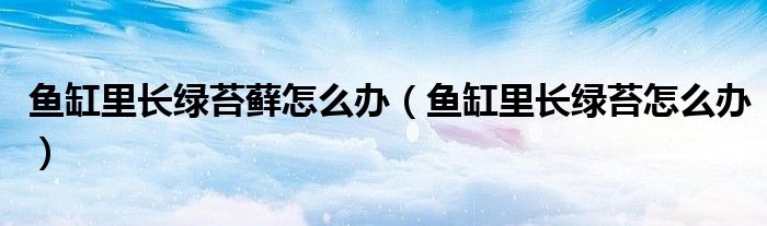 鱼缸里长绿苔藓怎么办（鱼缸里长绿苔怎么办）