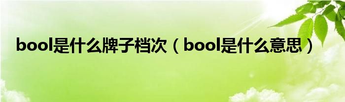 bool是什么牌子档次（bool是什么意思）