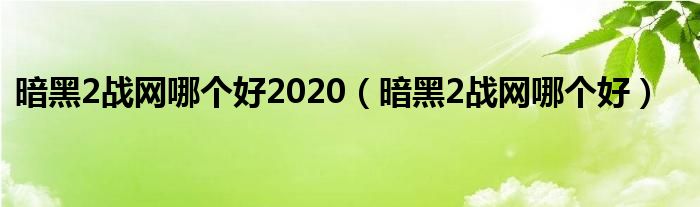 暗黑2战网哪个好2020（暗黑2战网哪个好）