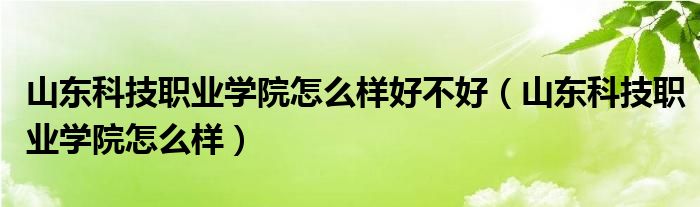 山东科技职业学院怎么样好不好（山东科技职业学院怎么样）