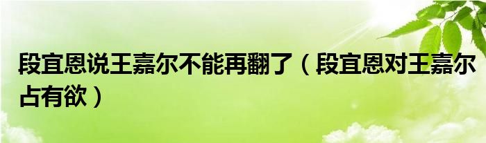 段宜恩说王嘉尔不能再翻了（段宜恩对王嘉尔占有欲）