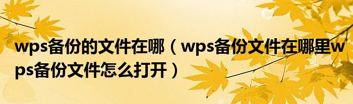 wps备份的文件在哪（wps备份文件在哪里wps备份文件怎么打开）