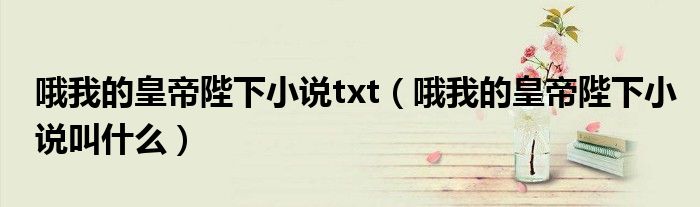 哦我的皇帝陛下小说txt（哦我的皇帝陛下小说叫什么）