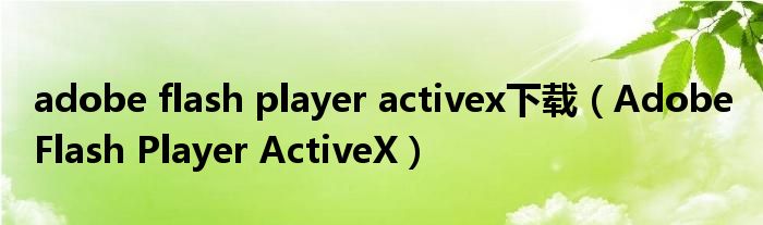 adobe flash player activex下载（Adobe Flash Player ActiveX）