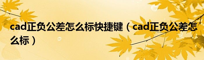 cad正负公差怎么标快捷键（cad正负公差怎么标）