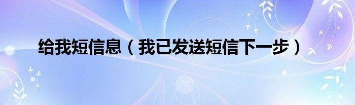 给我短信息（我已发送短信下一步）