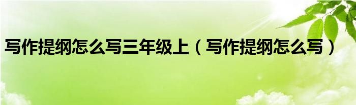 写作提纲怎么写三年级上（写作提纲怎么写）