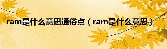 ram是什么意思通俗点（ram是什么意思）