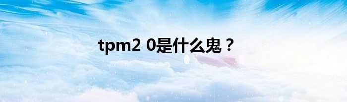 tpm2 0是什么鬼？