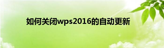 如何关闭wps2016的自动更新