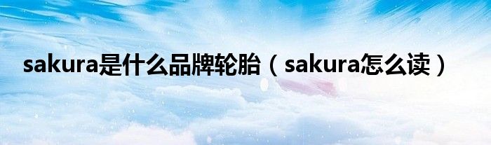 sakura是什么品牌轮胎（sakura怎么读）