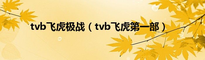 tvb飞虎极战（tvb飞虎第一部）