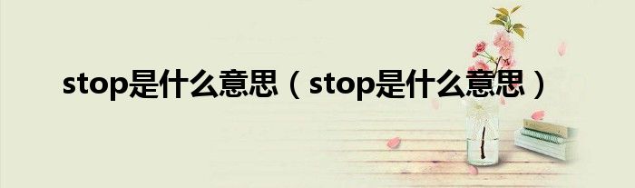 stop是什么意思（stop是什么意思）