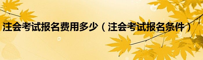 注会考试报名费用多少（注会考试报名条件）