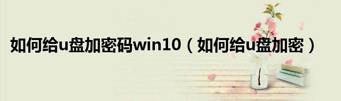 如何给u盘加密码win10（如何给u盘加密）