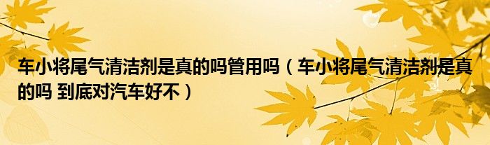 车小将尾气清洁剂是真的吗管用吗（车小将尾气清洁剂是真的吗 到底对汽车好不）