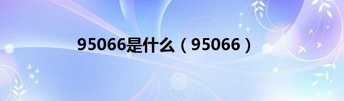 95066是什么（95066）