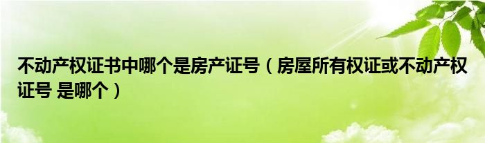 不动产权证书中哪个是房产证号（房屋所有权证或不动产权证号 是哪个）