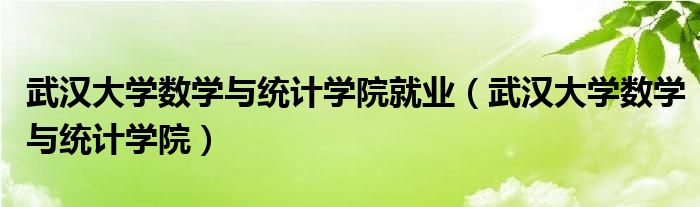 武汉大学数学与统计学院就业（武汉大学数学与统计学院）