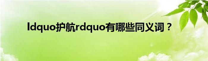 ldquo护航rdquo有哪些同义词？