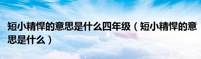 短小精悍的意思是什么四年级（短小精悍的意思是什么）