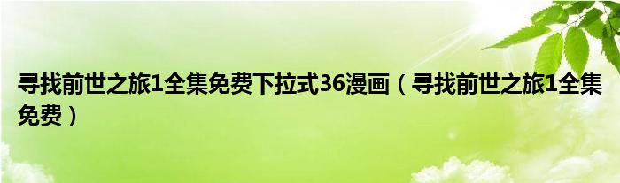 寻找前世之旅1全集免费下拉式36漫画（寻找前世之旅1全集免费）