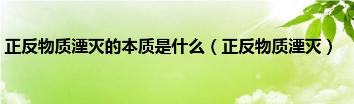 正反物质湮灭的本质是什么（正反物质湮灭）