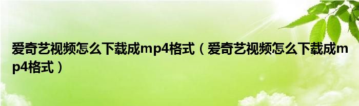 爱奇艺视频怎么下载成mp4格式（爱奇艺视频怎么下载成mp4格式）