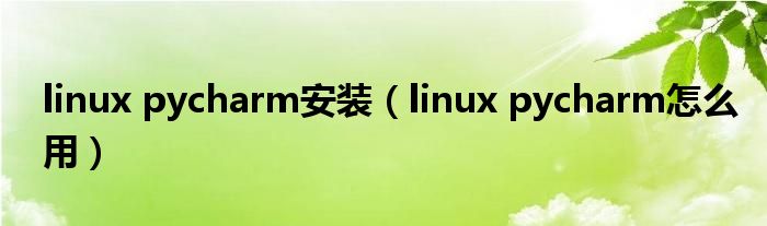 linux pycharm安装（linux pycharm怎么用）