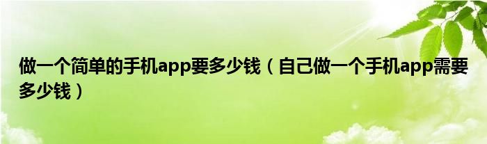 做一个简单的手机app要多少钱（自己做一个手机app需要多少钱）