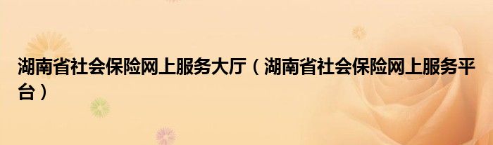 湖南省社会保险网上服务大厅（湖南省社会保险网上服务平台）