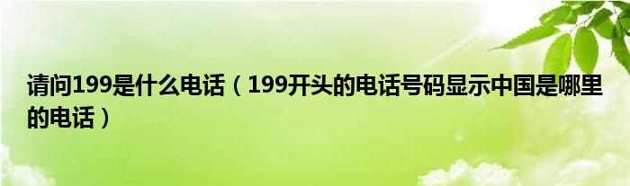 请问199是什么电话（199开头的电话号码显示中国是哪里的电话）