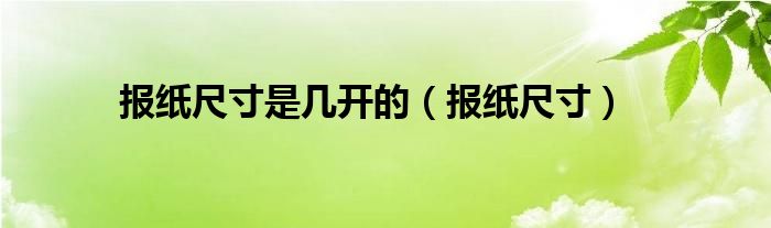 报纸尺寸是几开的（报纸尺寸）