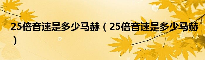 25倍音速是多少马赫（25倍音速是多少马赫）