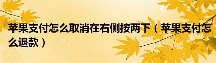 苹果支付怎么取消在右侧按两下（苹果支付怎么退款）