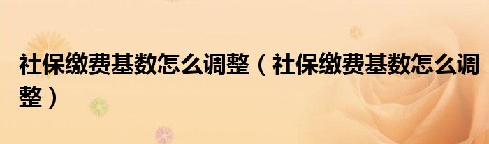 社保缴费基数怎么调整（社保缴费基数怎么调整）