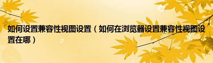 如何设置兼容性视图设置（如何在浏览器设置兼容性视图设置在哪）