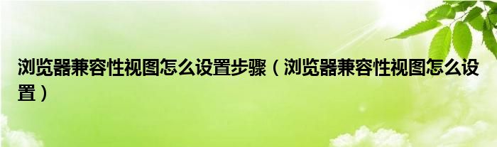 浏览器兼容性视图怎么设置步骤（浏览器兼容性视图怎么设置）